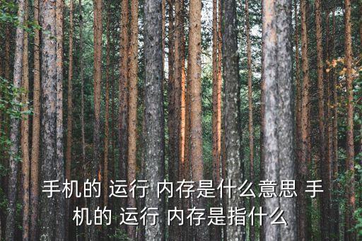 手機運行內存,關于手機不是運行內存你必須知道的事情