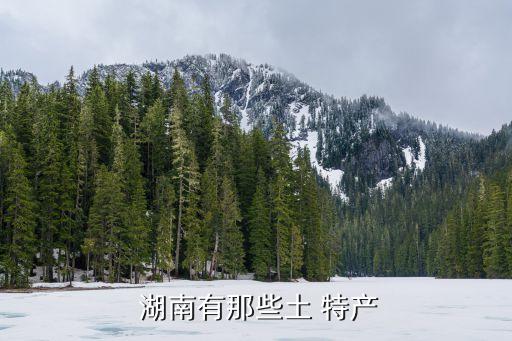  湖南有那些土 特產