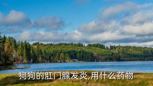 苯佐卡因是什么藥,肛門腺發炎可吃什么藥?藥物會有嗎?