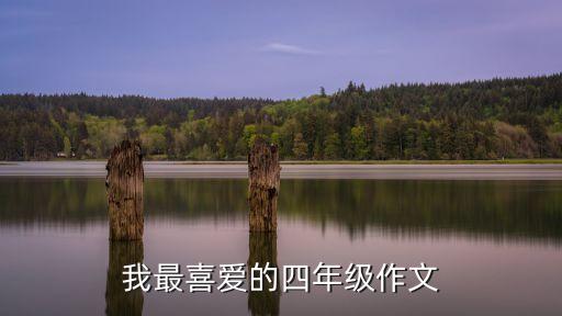 我最喜歡的,10篇我最喜歡的四年級作文（13）