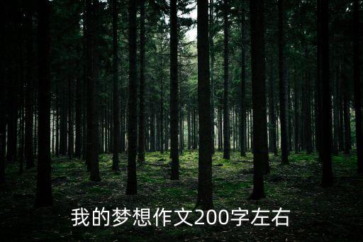 我的夢(mèng)想作文200字左右