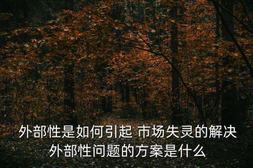  外部性是如何引起 市場失靈的解決 外部性問題的方案是什么