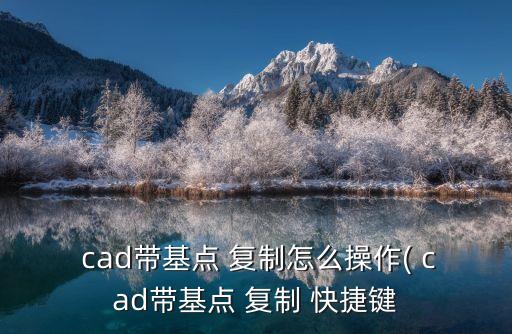 cad復制快捷鍵,cad帶基點復制快捷key