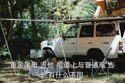 吉他構(gòu)造,電吉他采用磁性鐵絲弦高音表現(xiàn)力更強(qiáng)