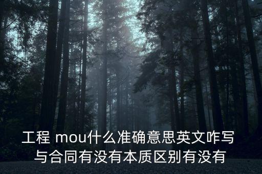 工程 mou什么準確意思英文咋寫 與合同有沒有本質區別有沒有