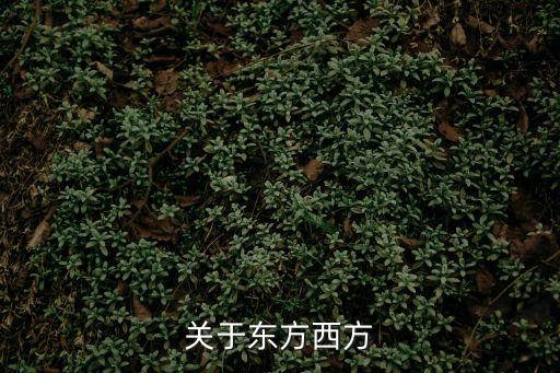 東西方，東西方有什么不同