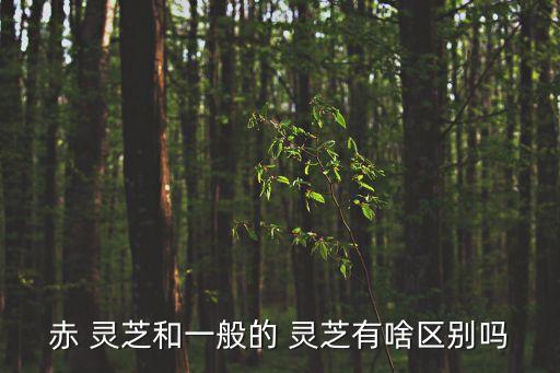 赤 靈芝和一般的 靈芝有啥區別嗎