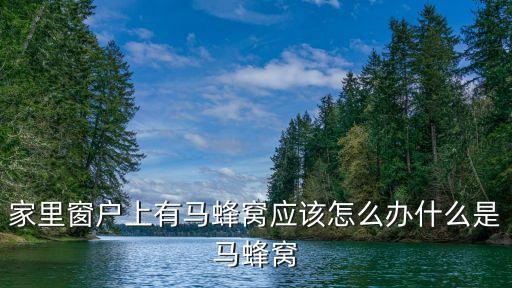 家里窗戶上有馬蜂窩應該怎么辦什么是馬蜂窩