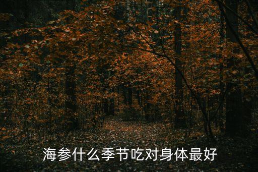  海參什么季節吃對身體最好