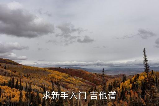 簡單指彈吉他譜,和弦譜是最簡單的表達