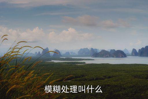 模糊處理叫什么