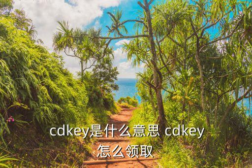  cdkey是什么意思 cdkey怎么領取