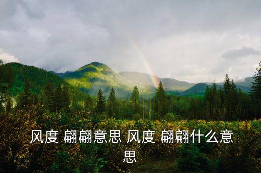  風度 翩翩意思 風度 翩翩什么意思