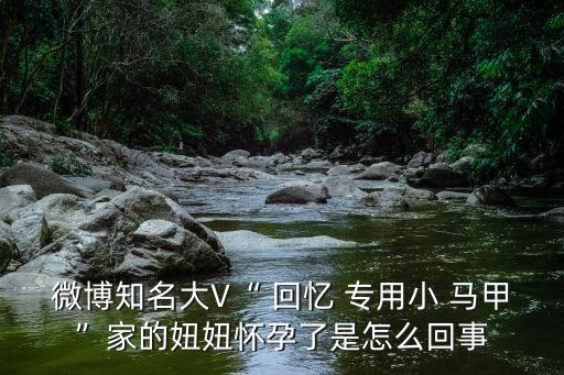 回憶專用小馬甲,回憶專用肖馬甲引發(fā)口水戰(zhàn)