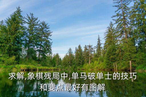 求解,象棋殘局中,單馬破單士的技巧和要點(diǎn)最好有圖解