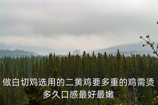 二黃雞，上海二黃雞市場(chǎng)價(jià)