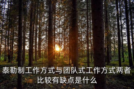 泰勒制，什么是Pieceratedifferentialsystem