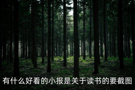 讀書的小報，有關讀書小報