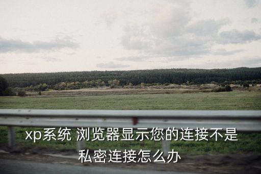  xp系統 瀏覽器顯示您的連接不是私密連接怎么辦