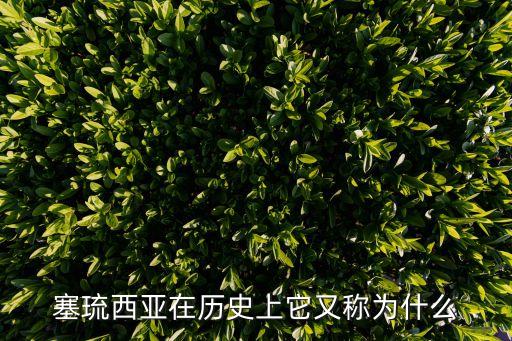 薩西亞，黑之契約者的薩西亞和琥珀哪個(gè)更像叛逆的魯魯修的cc
