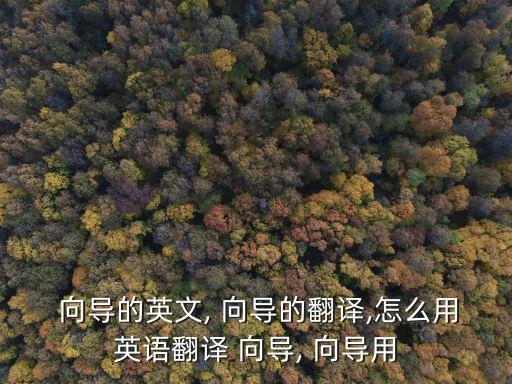 向?qū)?導(dǎo)游導(dǎo)游造句:指導(dǎo)指導(dǎo)誘惑向?qū)?dǎo)游