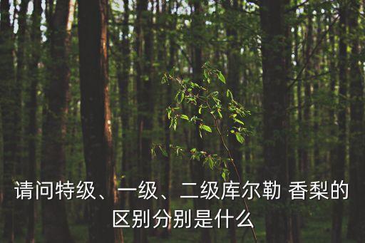 香梨熱量,梨子的種類有哪些?一起來看看!