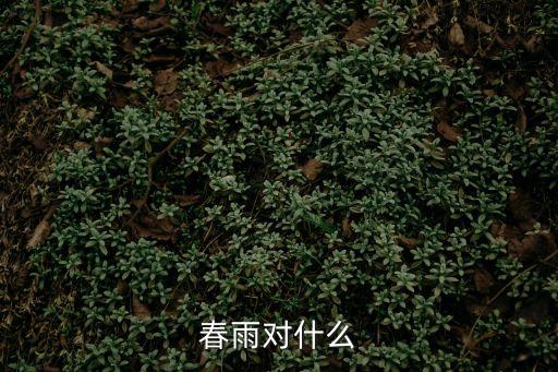 春雨對什么