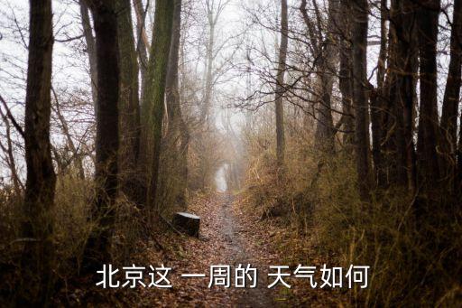 北京未來一周天氣,未來七日全市多個(gè)地區(qū)有雷電或中雨