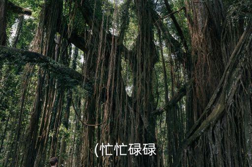 匆匆忙忙反義詞,這輩子匆匆忙忙你在哪里?