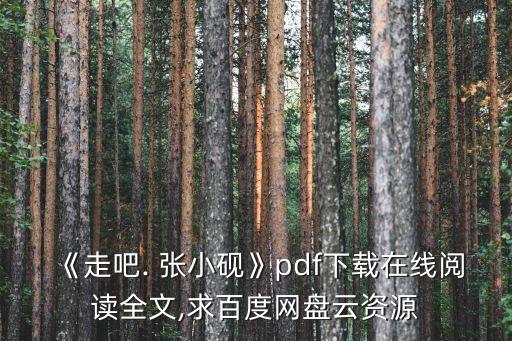 《走吧. 張小硯》pdf下載在線閱讀全文,求百度網(wǎng)盤云資源