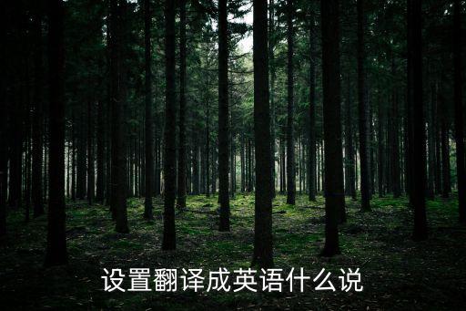 設置用英語怎么說，設置用英語怎么說