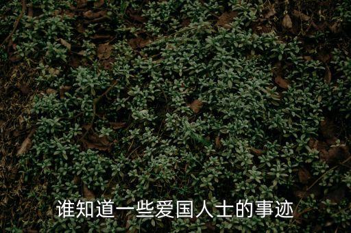 愛國人士的故事，愛國人物的故事