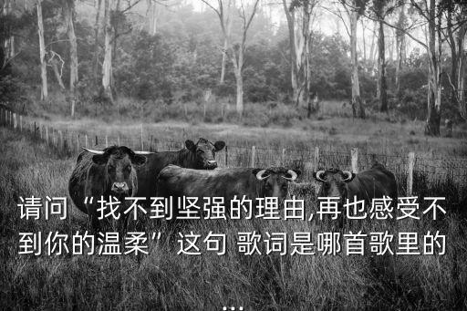 堅強的理由歌詞,《星語星愿》主題曲張柏芝演唱歌曲
