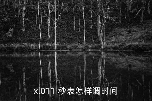 xl011 秒表怎樣調時間