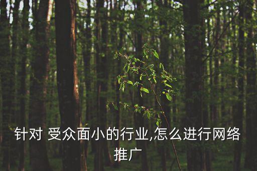 針對 受眾面小的行業,怎么進行網絡推廣