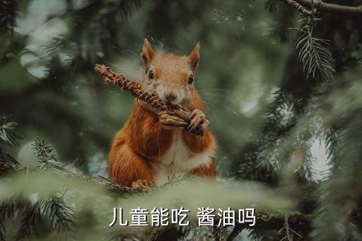 兒童醬油,這款兒童醬油適合兒童食用味道超好!