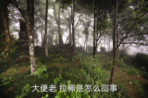  大便老 拉稀是怎么回事