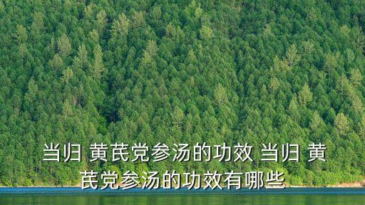  當歸 黃芪黨參湯的功效 當歸 黃芪黨參湯的功效有哪些