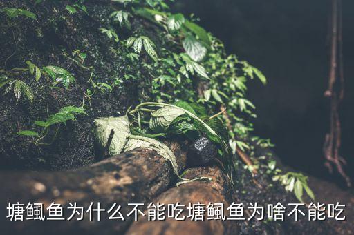 塘鲺魚為什么不能吃塘鲺魚為啥不能吃