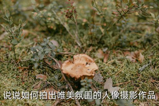 人像攝影作品，人像攝影作品欣賞哪兒有