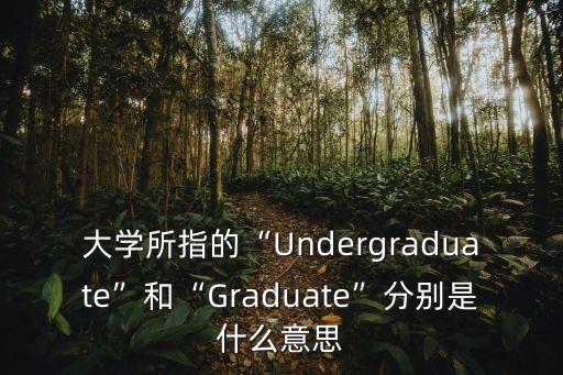 大學(xué)所指的“Undergraduate”和“Graduate”分別是什么意思