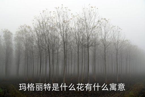 瑪格麗特花語，瑪格烈特的花語