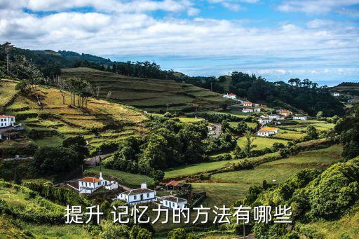 記憶訓練方法,記憶力增強方法（八）