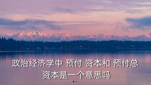 政治經濟學中 預付 資本和 預付總 資本是一個意思嗎