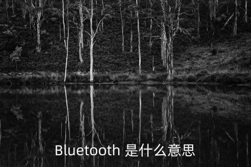 Bluetooth 是什么意思