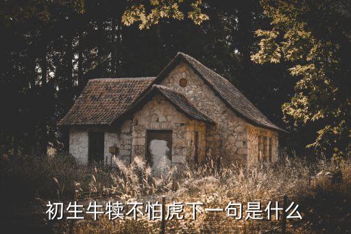 初生牛犢不怕虎下一句是什么