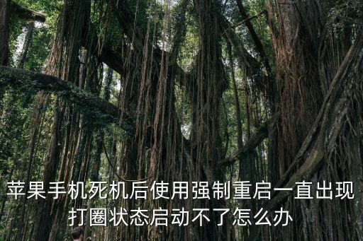蘋果手機死機后使用強制重啟一直出現打圈狀態啟動不了怎么辦