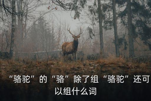 駱驛,十一國慶回國人流絡繹不絕!