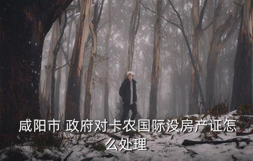 咸陽市政府,咸陽市政府煙花匯演期間將舉辦各種文化活動