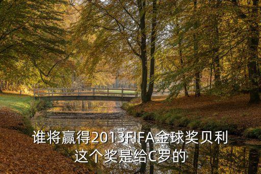 2013金球獎，誰將贏得2013FIFA金球獎貝利這個獎是給C羅的